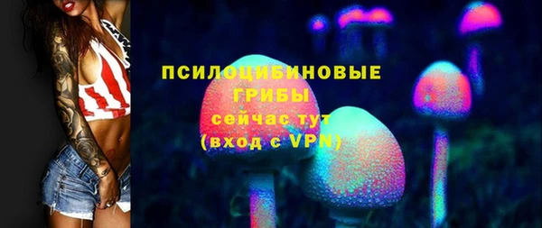 дживик Абаза