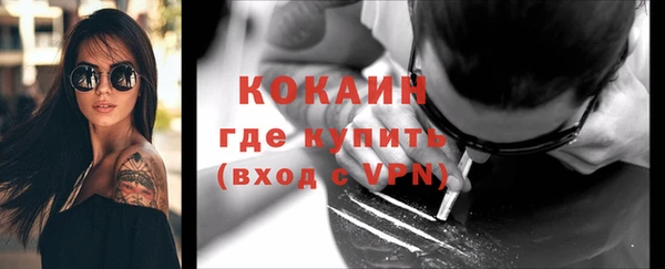 дживик Абаза