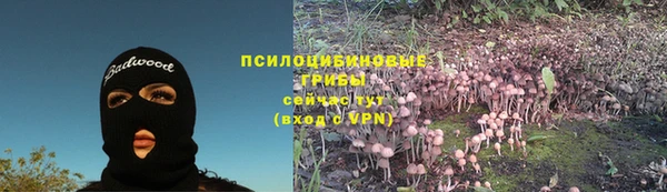 дживик Абаза